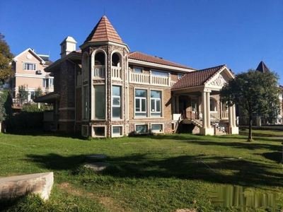 世林国际别墅项目